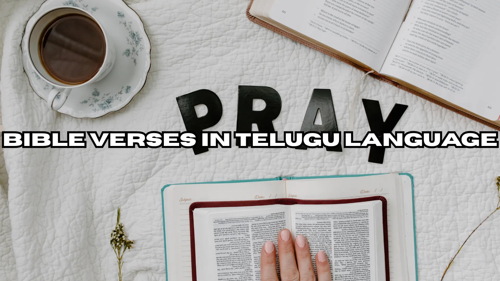 Bible Verses in Telugu Language