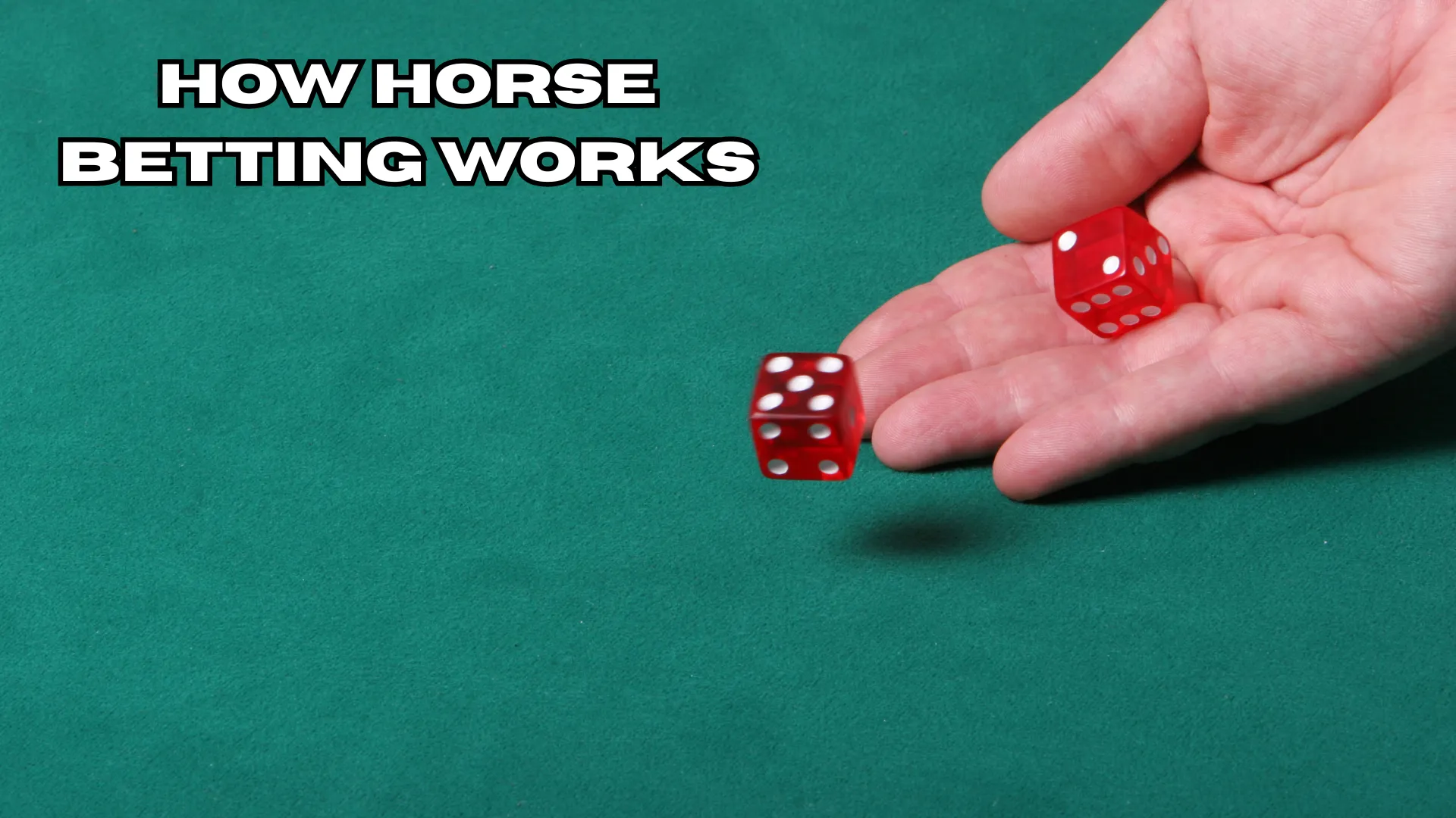 How Horse Betting Works