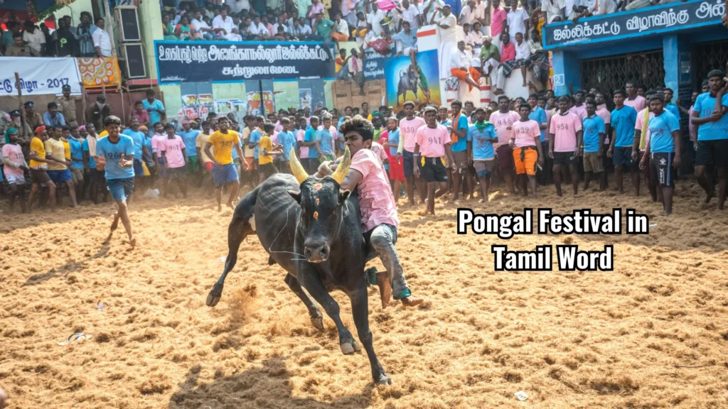 Pongal Festival in Tamil Words